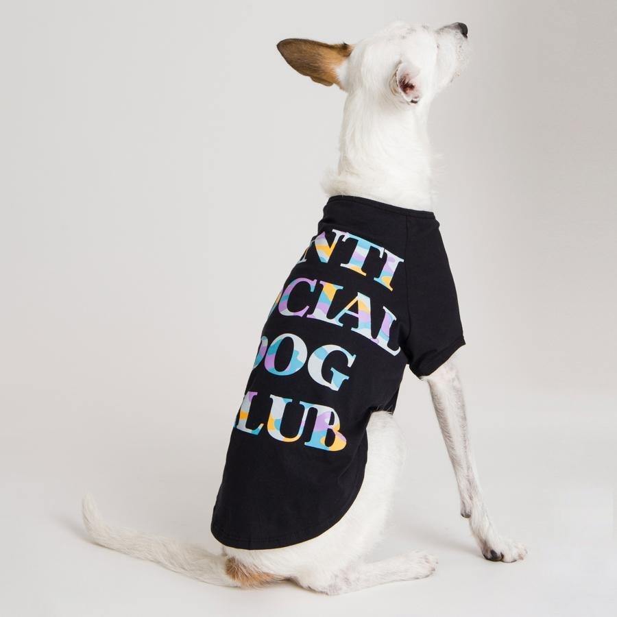 T-shirt Anti Social Dog Club BLK - DogWings