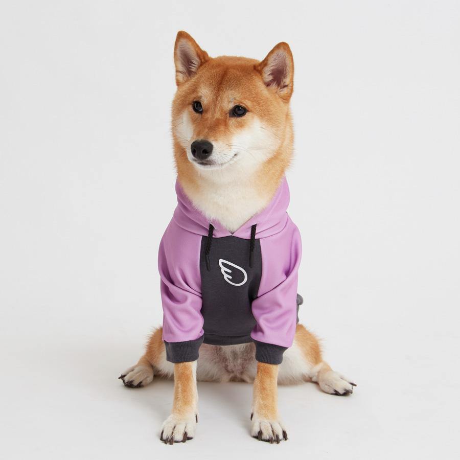 Hoodie Wing Lilac - DogWings