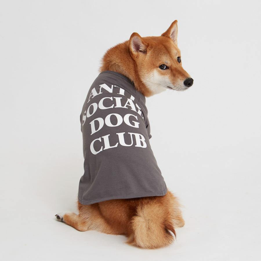 T-shirt Anti Social Dog Club - DogWings